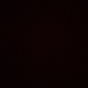 Meet your Posher, Bailey